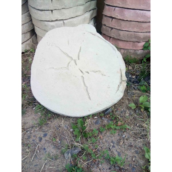 Round Tree Stump